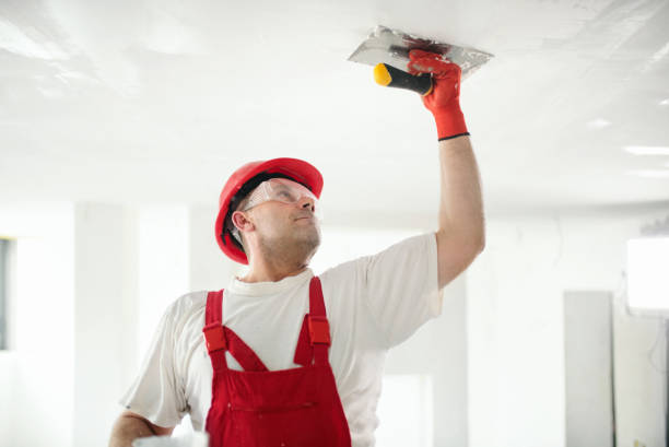 Best Repainting for Renovations  in Bellwood, IL