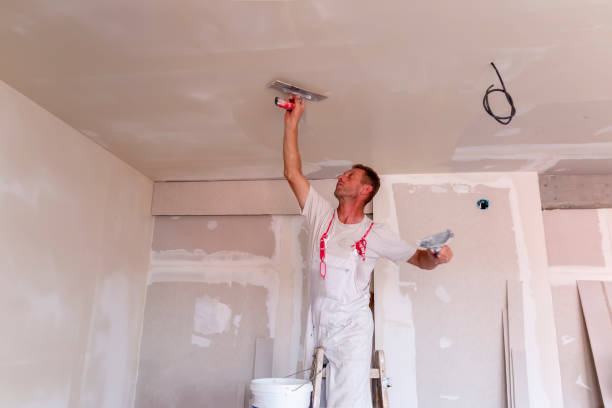 Best Interior Painting  in Bellwood, IL